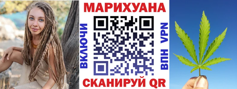 Канабис White Widow как найти наркотики Высоцк